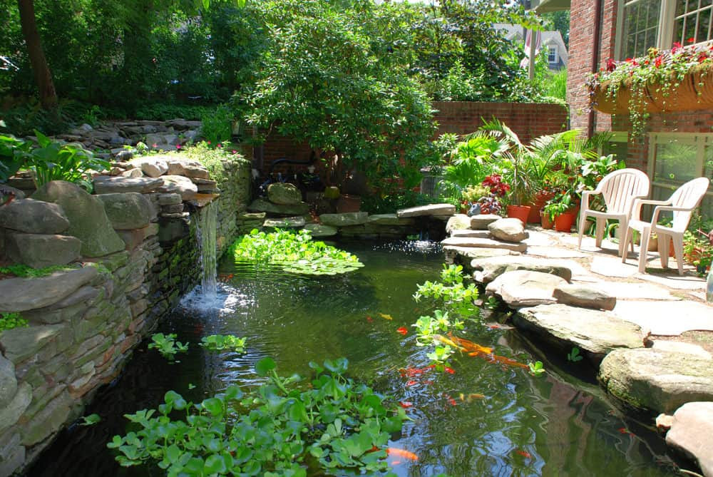 Backyard Pond Ideas
 60 Backyard Pond Ideas s