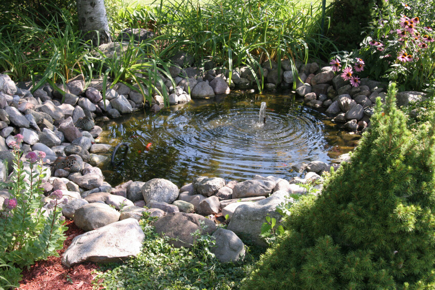 Backyard Pond Ideas
 60 Backyard Pond Ideas s