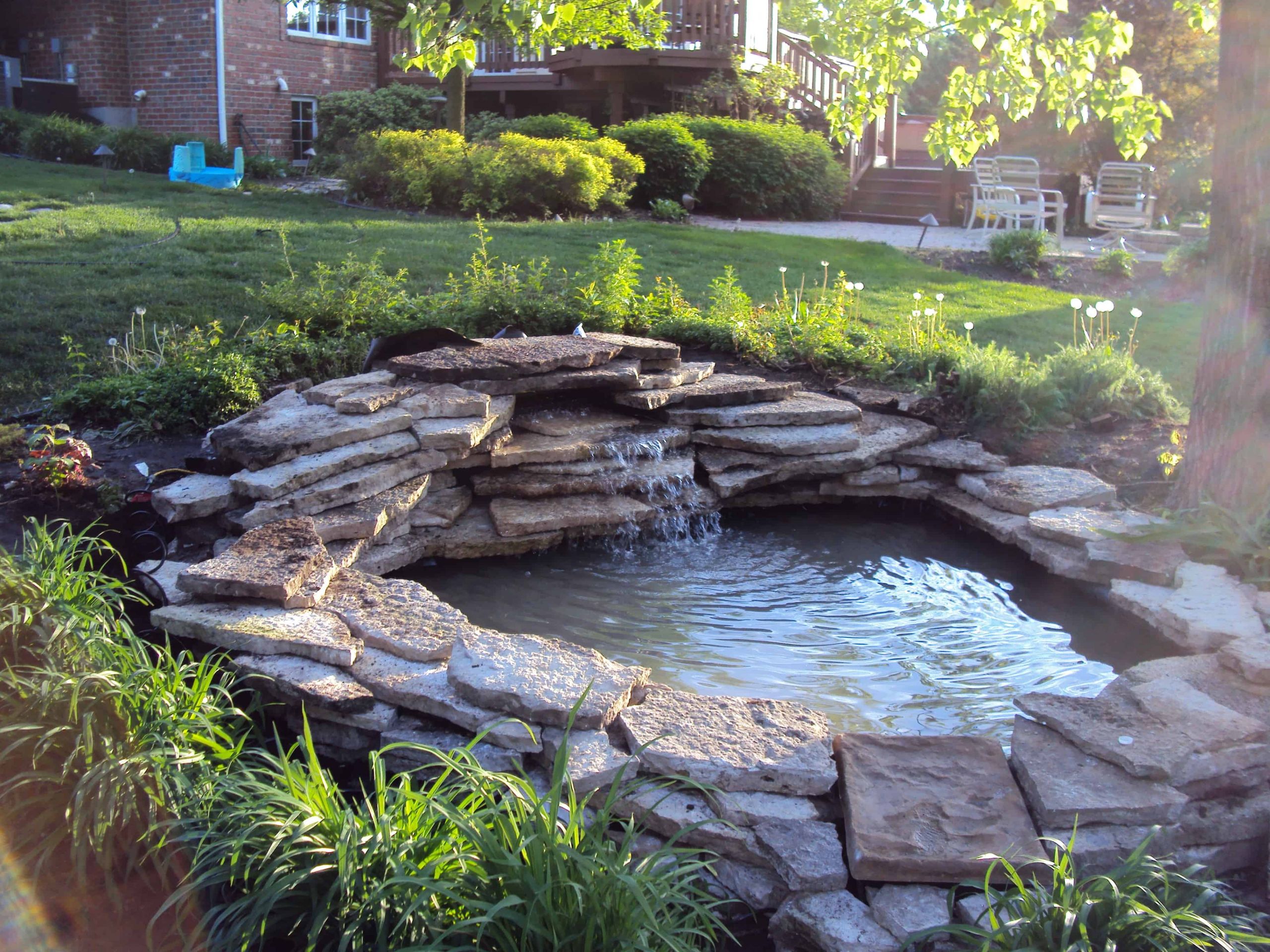 Backyard Pond Ideas
 Backyard Ponds Design Ideas for All Bud s Decoration