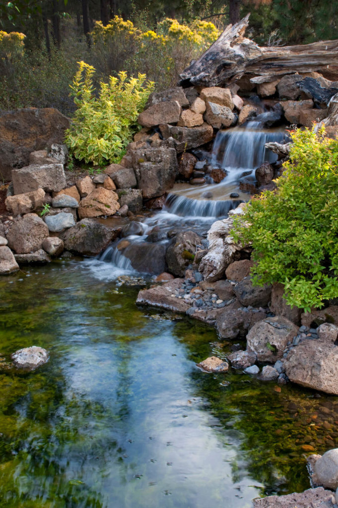 Backyard Ponds And Waterfalls
 50 of Backyard Garden Waterfalls Ideas & Designs