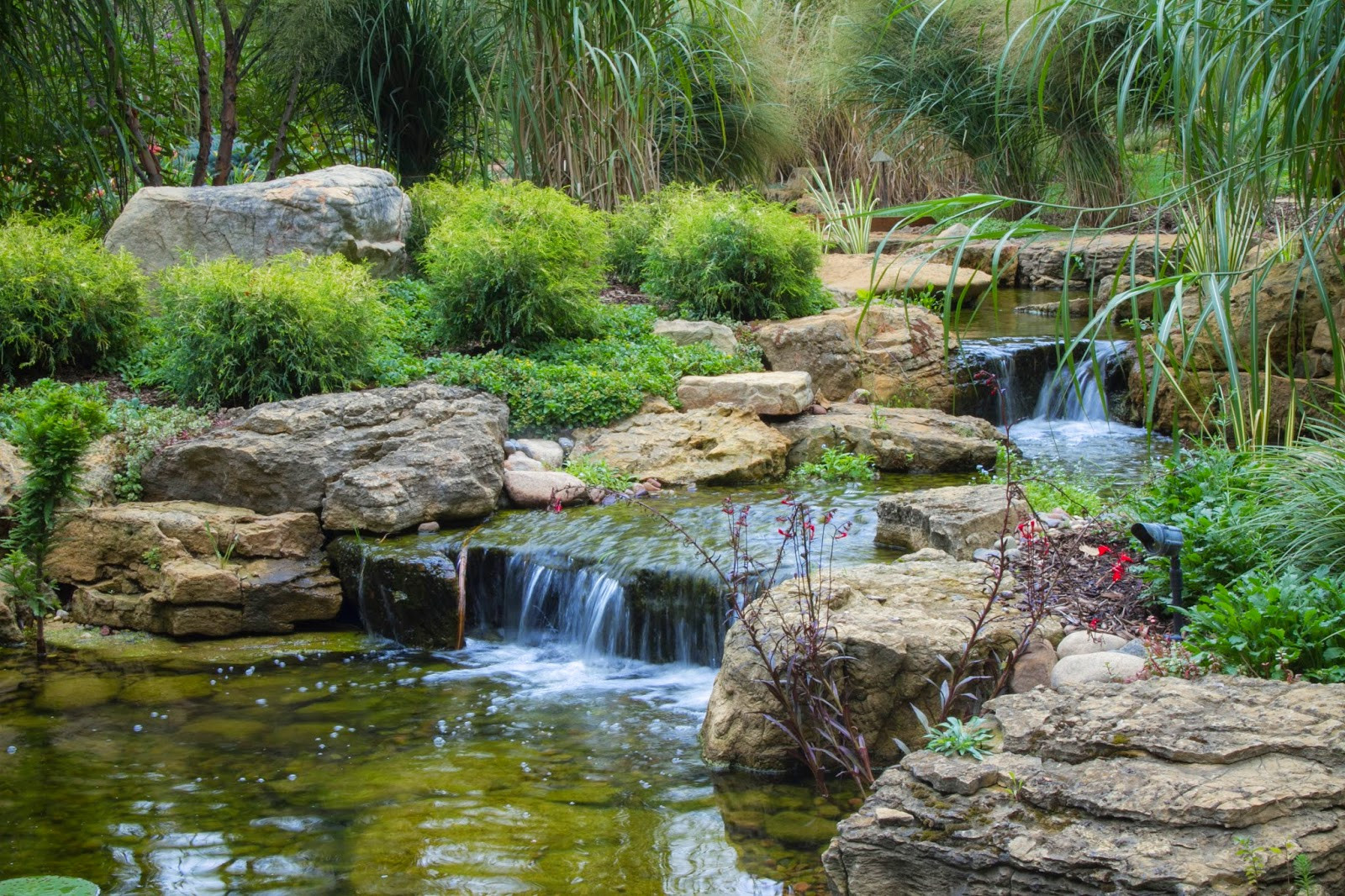 Backyard Ponds And Waterfalls
 Aquascape Your Landscape How a Chicago Suburbanite