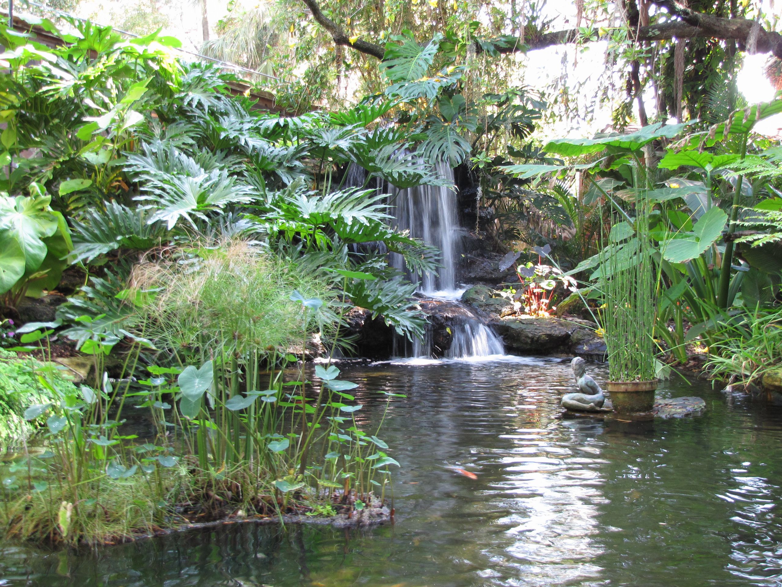 Backyard Ponds And Waterfalls
 Selby Gardens