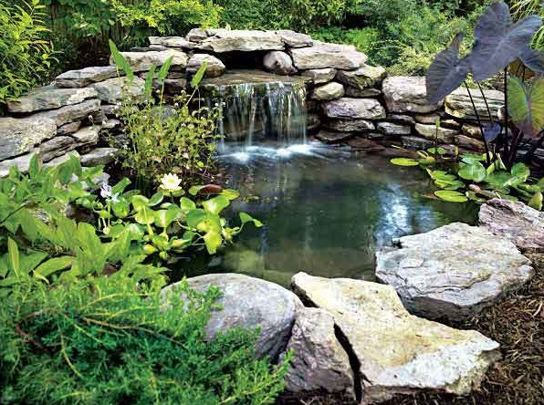 Backyard Ponds And Waterfalls
 Backyard Pond And Waterfall Ideas