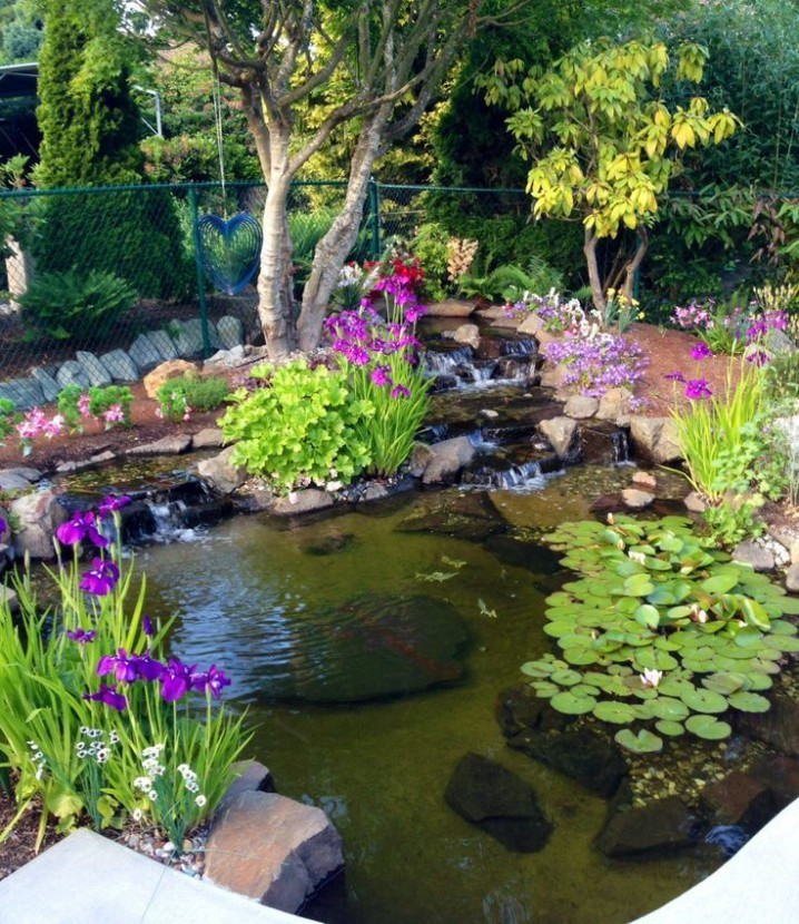 Backyard Ponds And Waterfalls
 20 Beautiful Backyard Waterfalls And Ponds You Should Not