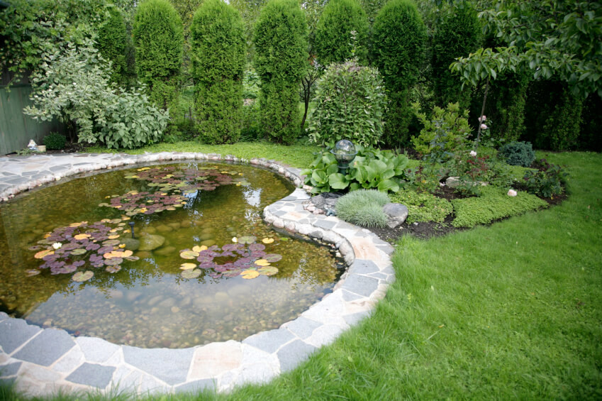 Backyard Ponds Design
 37 Backyard Pond Ideas & Designs