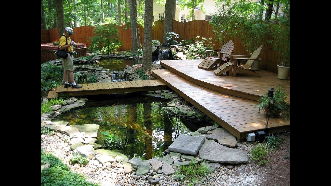 Backyard Ponds Design
 small koi fish in garden for ponds design ideas