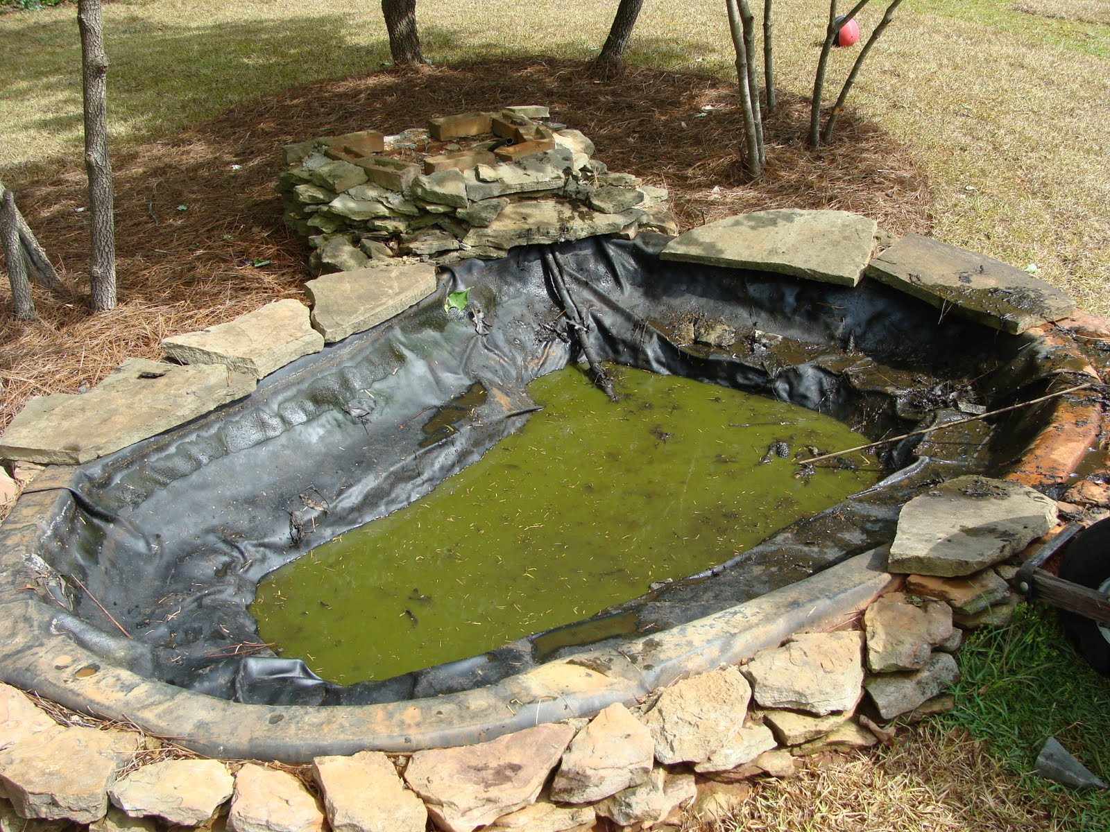 Backyard Ponds Design
 The Walker Family Backyard Pond Before and After