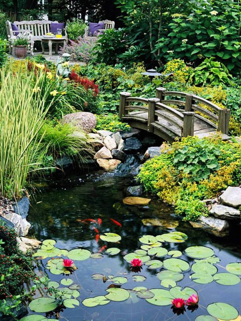 Backyard Ponds Design
 Backyard Pond Designs