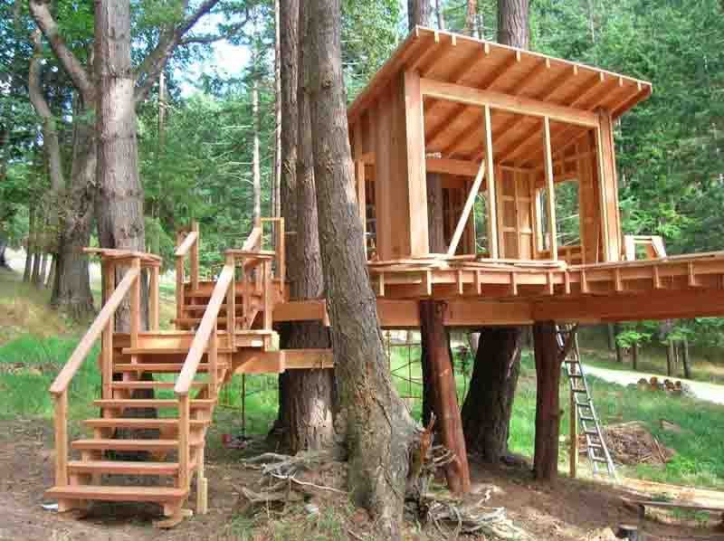 Backyard Tree Houses
 How to Build a Treehouse in the Backyard