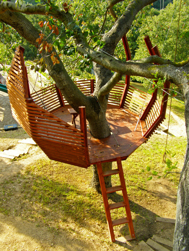 Backyard Tree Houses
 8 Tips for Building Your Own Backyard Treehouse