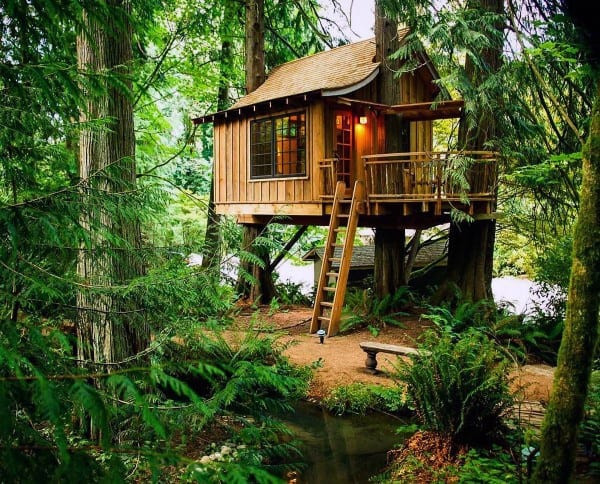 Backyard Tree Houses
 Top 60 Best Treehouse Ideas Wooden Wonder Designs