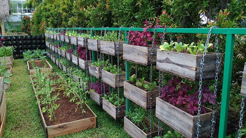 Backyard Vegetable Garden Ideas
 25 Incredible Ve able Garden Ideas