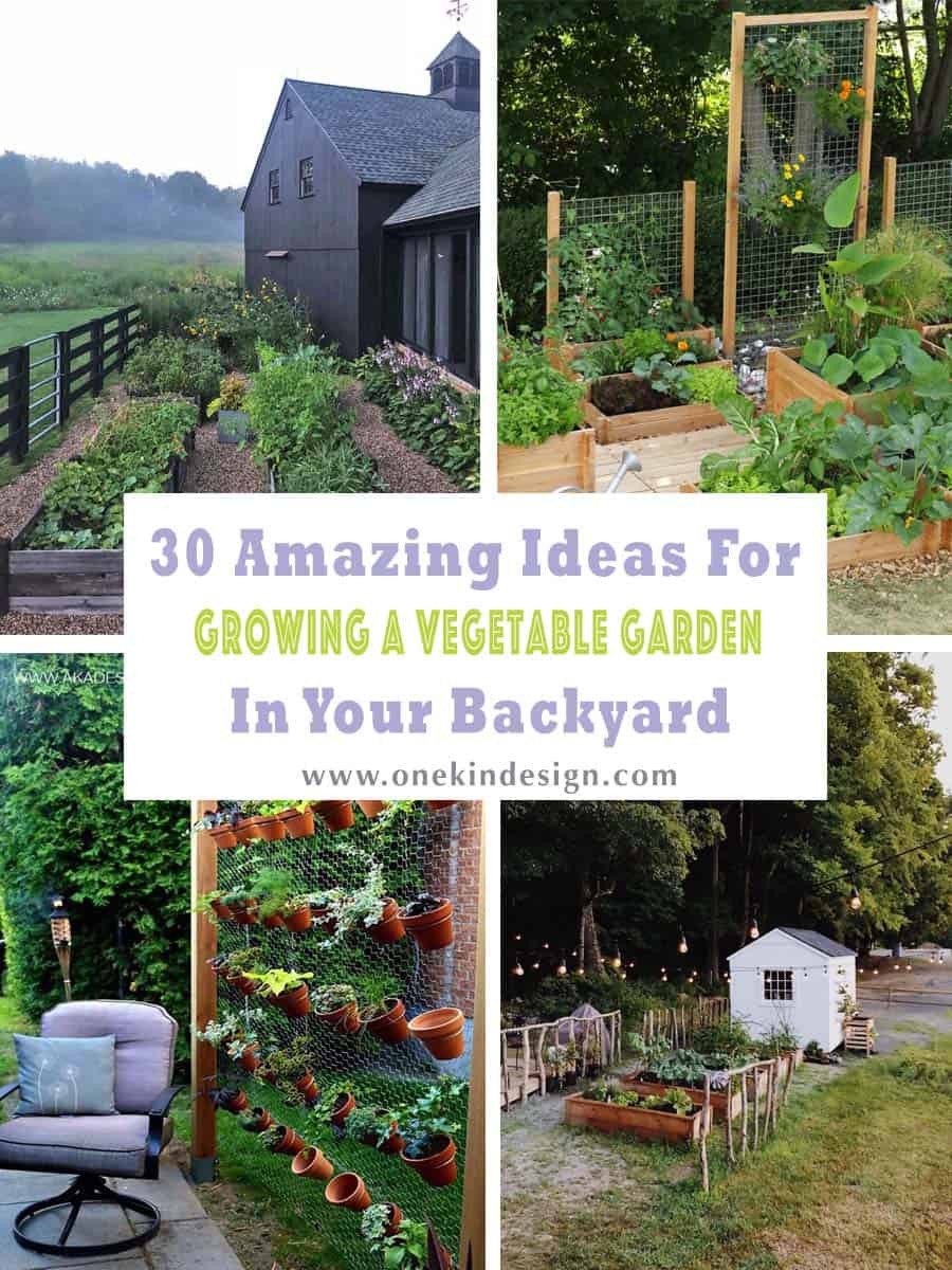 Backyard Vegetable Garden Ideas
 30 Amazing Ideas For Growing A Ve able Garden In Your