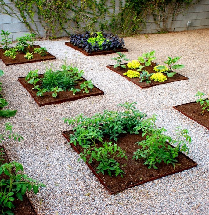 Backyard Vegetable Garden Ideas
 Ve able Garden Design Ideas Landscaping Network