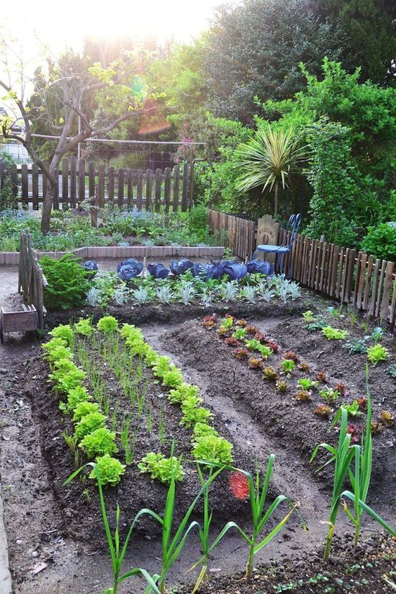 Backyard Vegetable Garden Ideas
 18 Fabulous Backyard Ve able Garden Design Ideas for