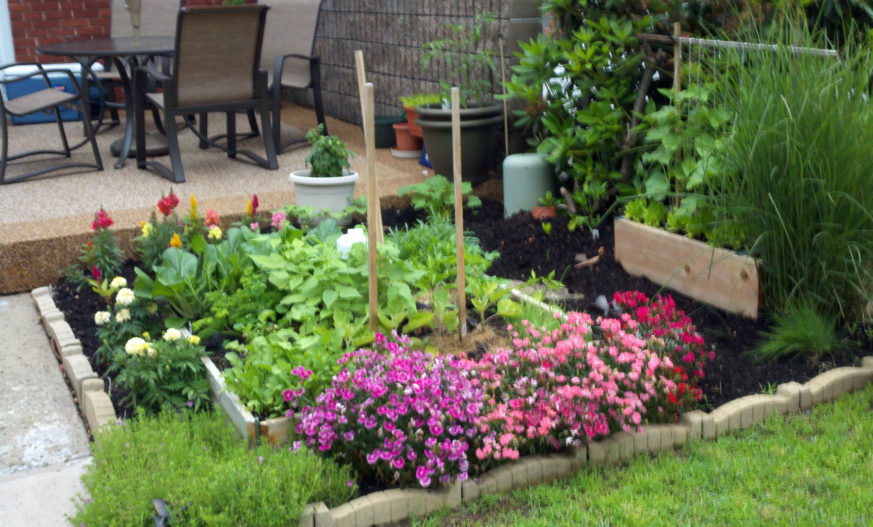 Backyard Vegetable Garden Ideas
 Simple Ve able Garden Ideas for Your Living Amaza Design