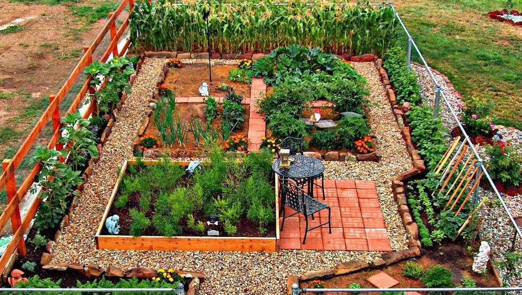 Backyard Vegetable Garden Ideas
 24 Fantastic Backyard Ve able Garden Ideas