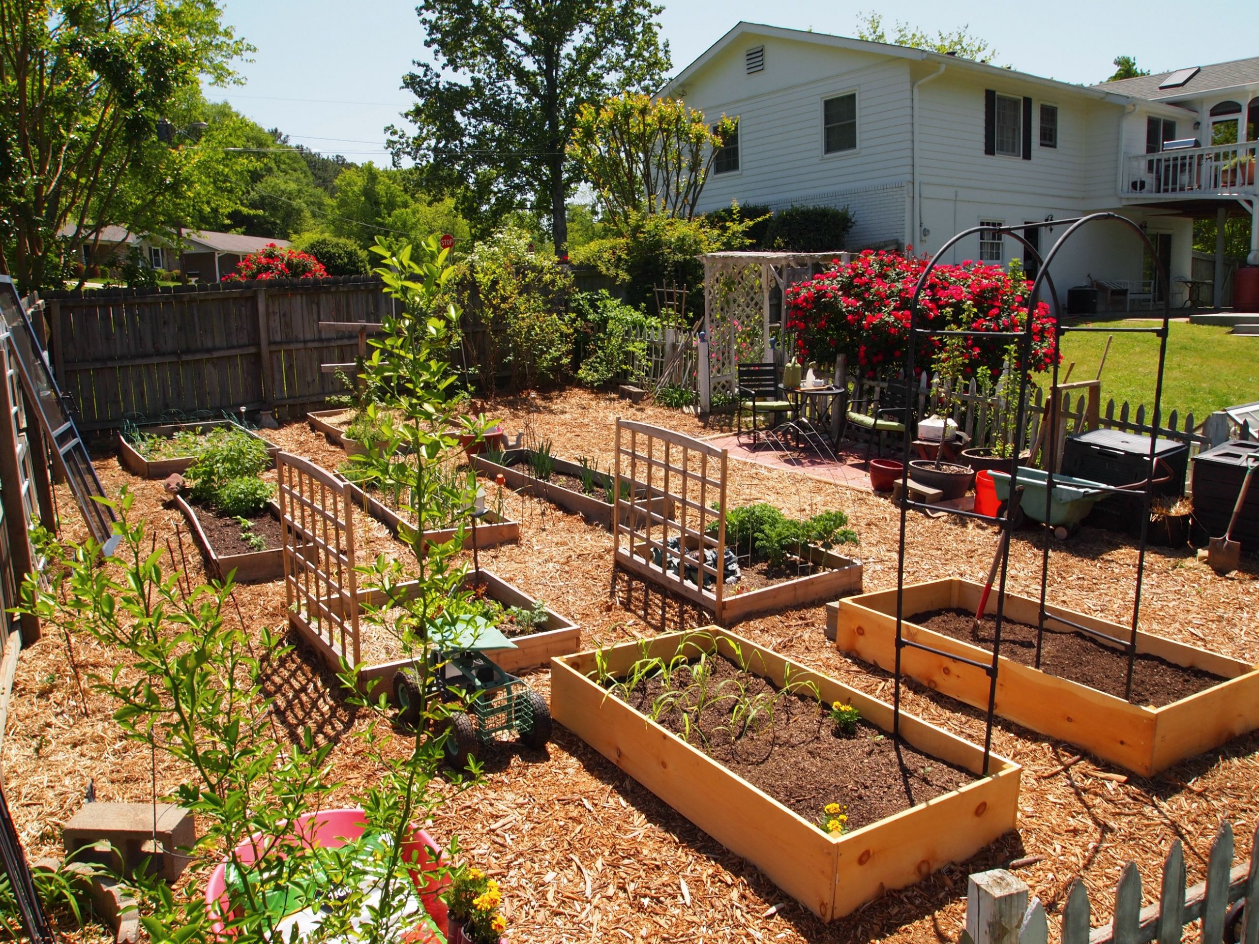 Backyard Vegetable Garden Ideas
 What Will My Garden Grow A Cultivated Nest