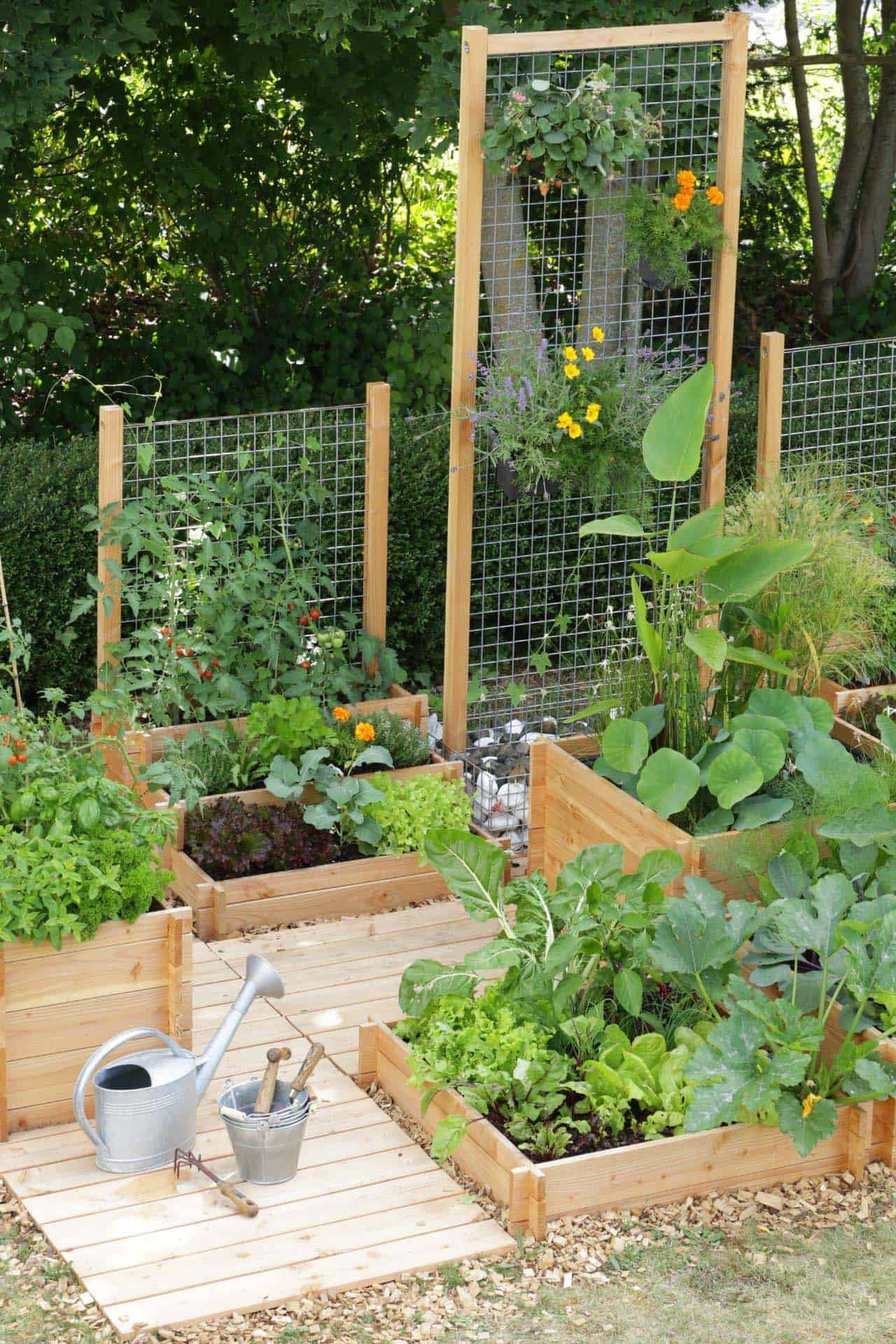 Backyard Vegetable Garden Ideas
 30 Amazing Ideas For Growing A Ve able Garden In Your