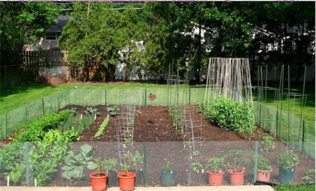 Backyard Vegetable Garden Ideas
 53 Best Backyard Landscaping Designs For Any Size And