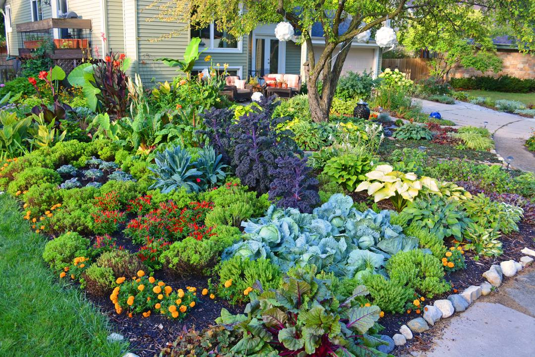 Backyard Vegetable Garden Ideas
 20 Impressive ve able garden designs and plans