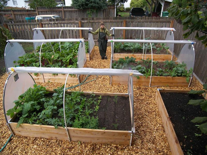 Backyard Vegetable Garden Ideas
 24 Awesome Ideas for Backyard Ve able Gardens