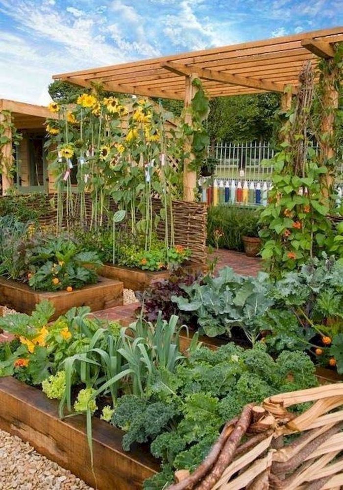 Backyard Vegetable Garden Ideas
 45 Affordable DIY Design Ideas for a Ve able Garden