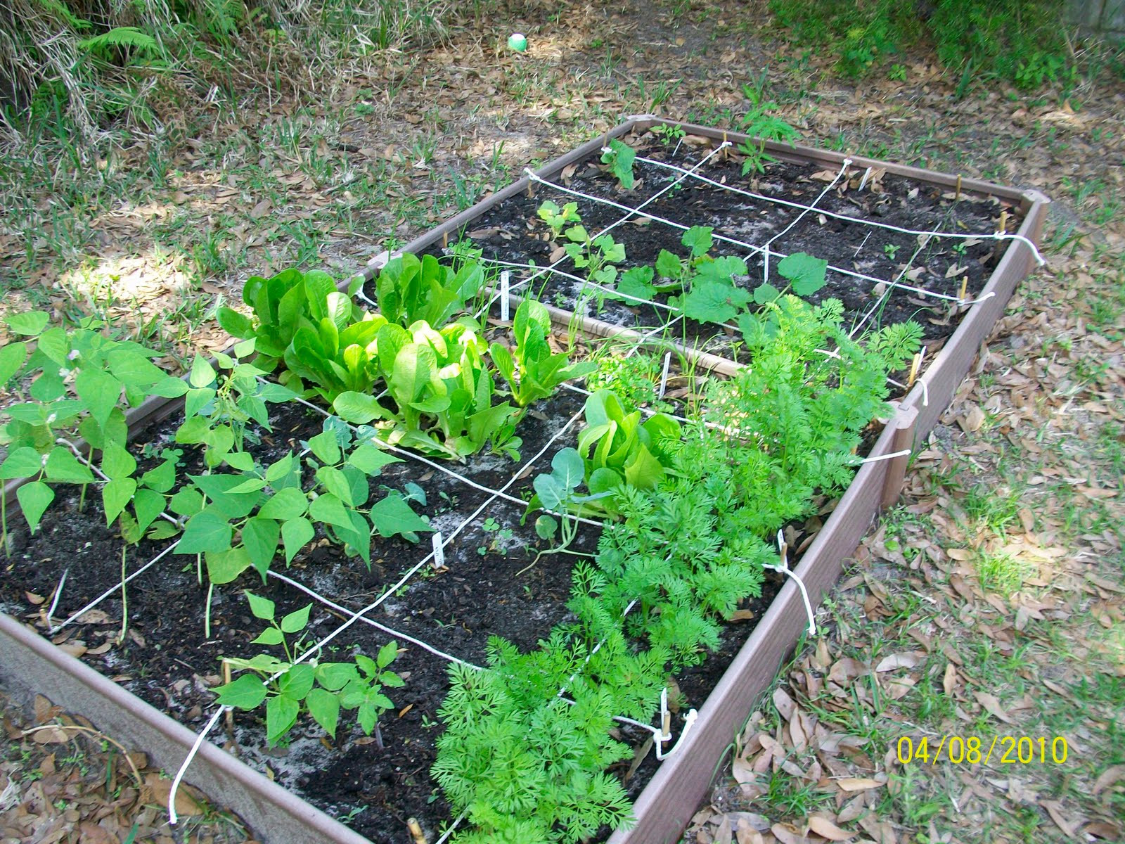 Backyard Vegetable Gardens
 Deeny s Simple Joys My Backyard Ve able Garden Endeavor