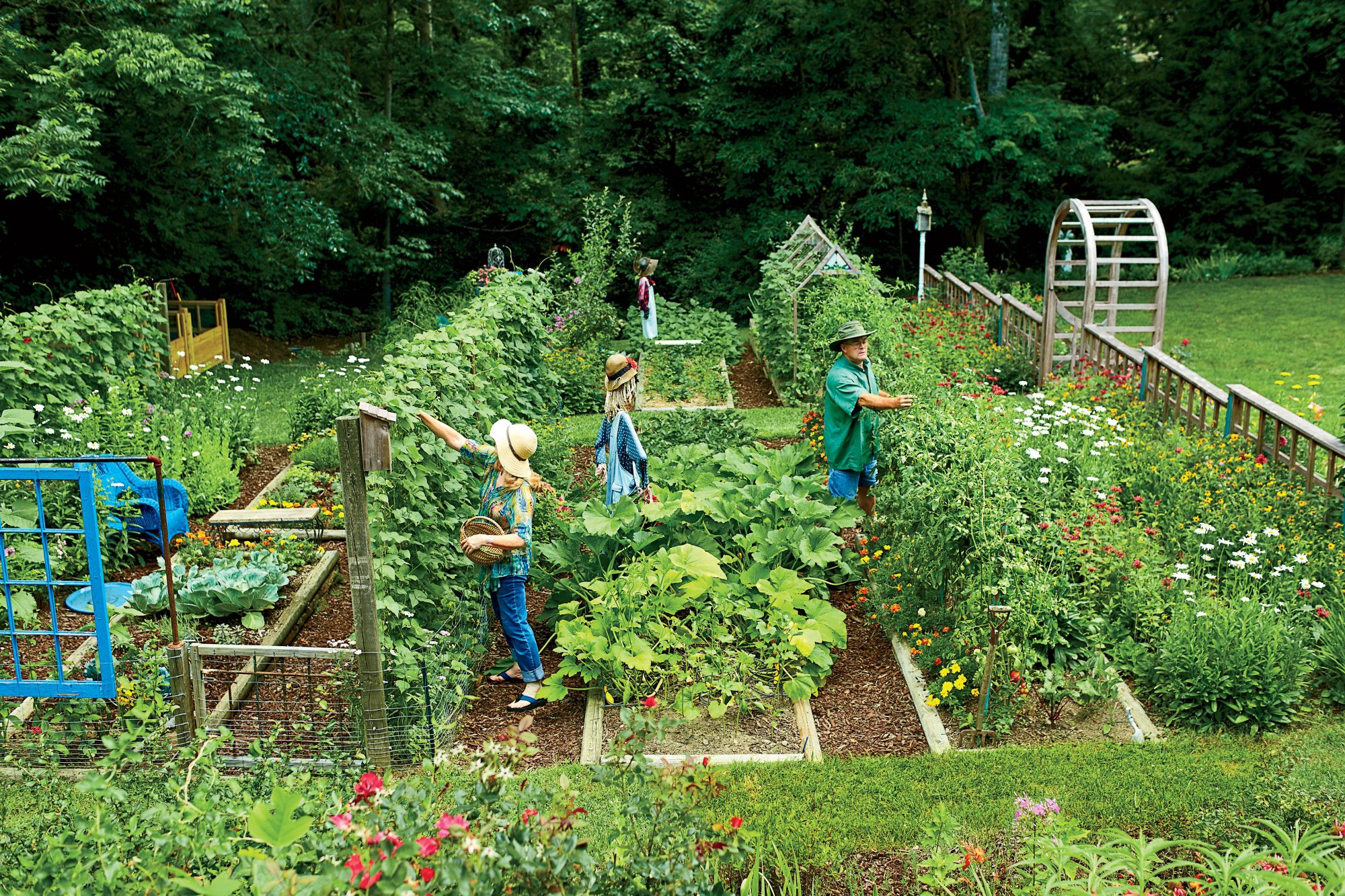 Backyard Vegetable Gardens
 Steal These Secrets for Growing Your Own Veggie Patch