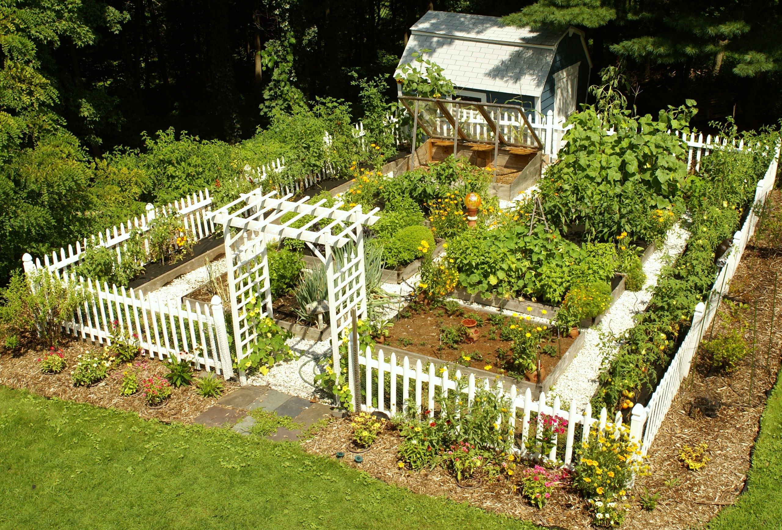 Backyard Vegetable Gardens
 ve able garden