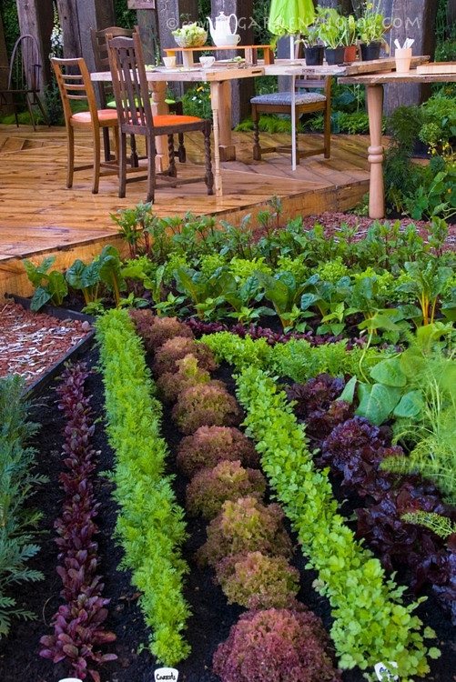 Backyard Vegetable Gardens
 Happy May Long Weekend