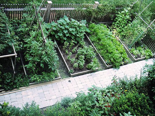 Backyard Vegetable Gardens
 Home Decorations Perfect Backyard Ve able Garden Design