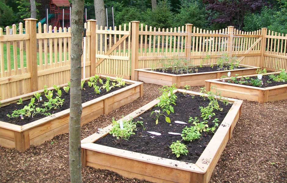 Backyard Vegetable Gardens
 Small Gardens and Details