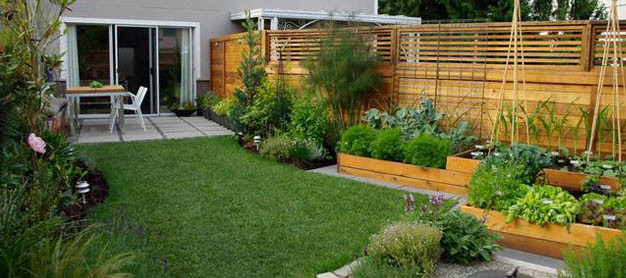 Backyard Vegetable Gardens
 Landscaping Your Small Backyard