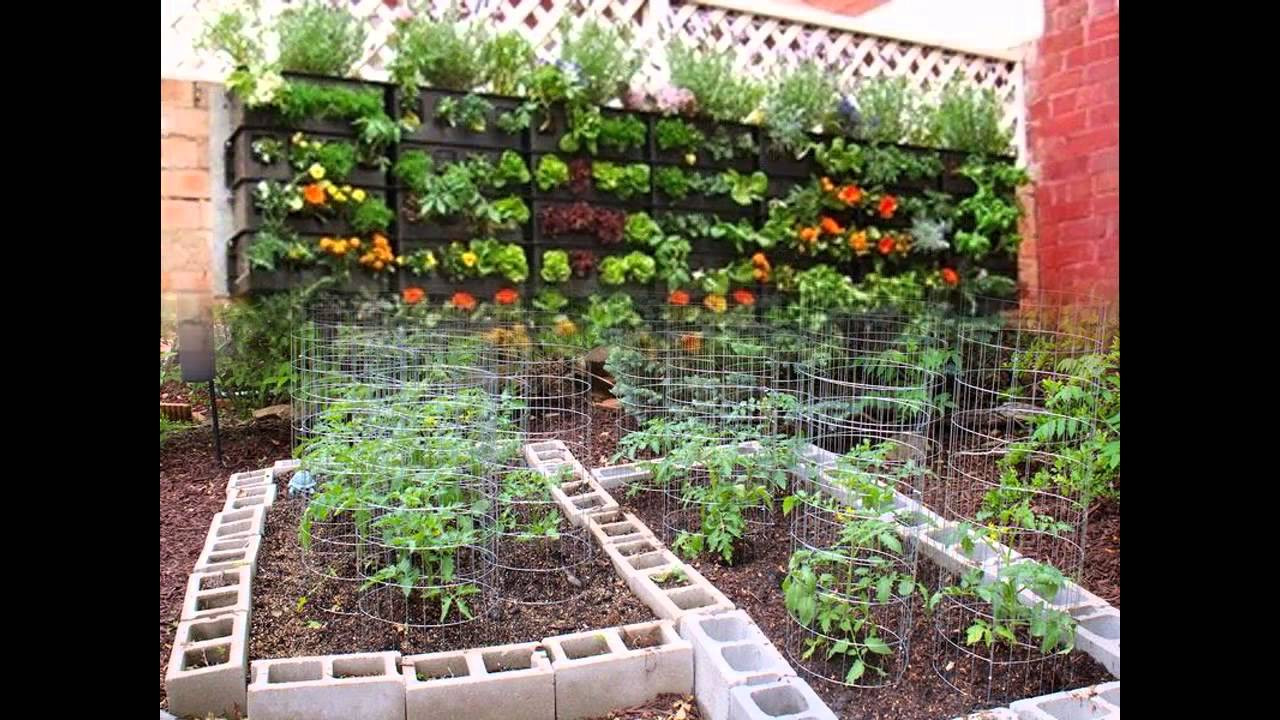 Backyard Vegetable Gardens
 Stunning Small backyard ve able garden