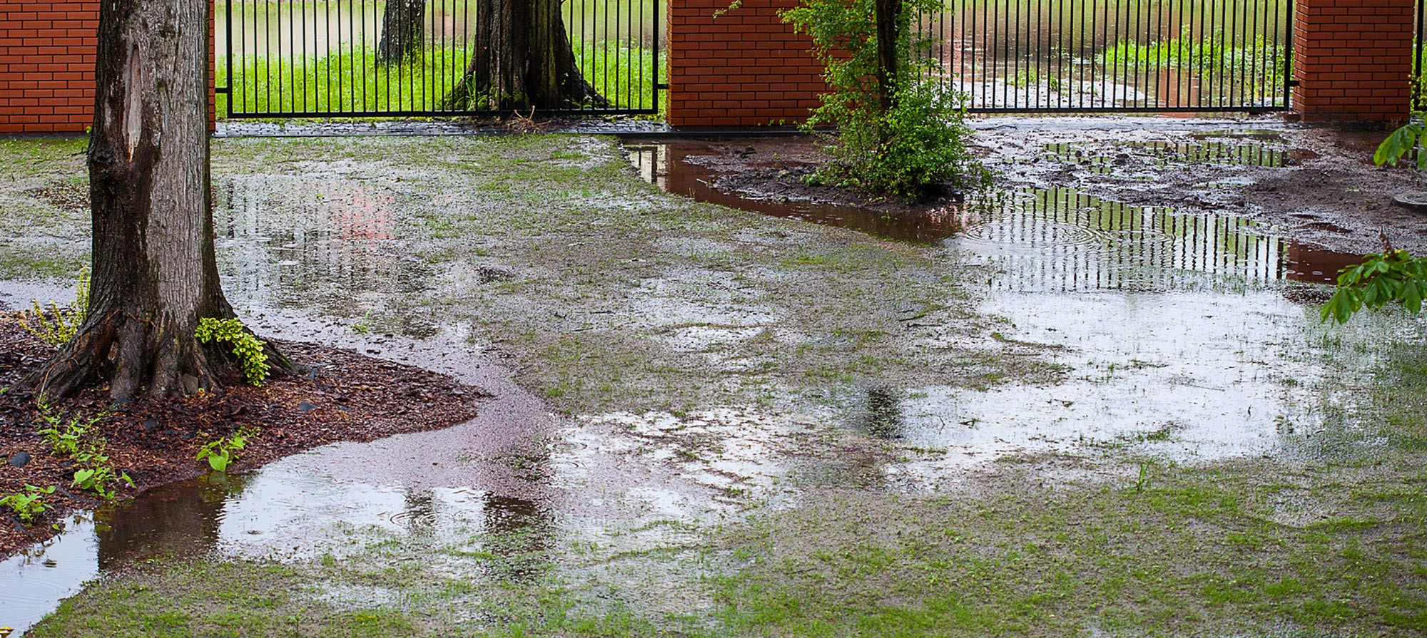 Backyard Water Drainage
 Drainage Solutions We ll Help You Prevent Yard Erosion