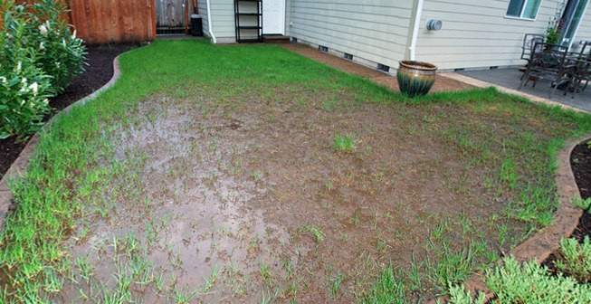 Backyard Water Drainage
 French Drains 101 — Wolf Creek pany