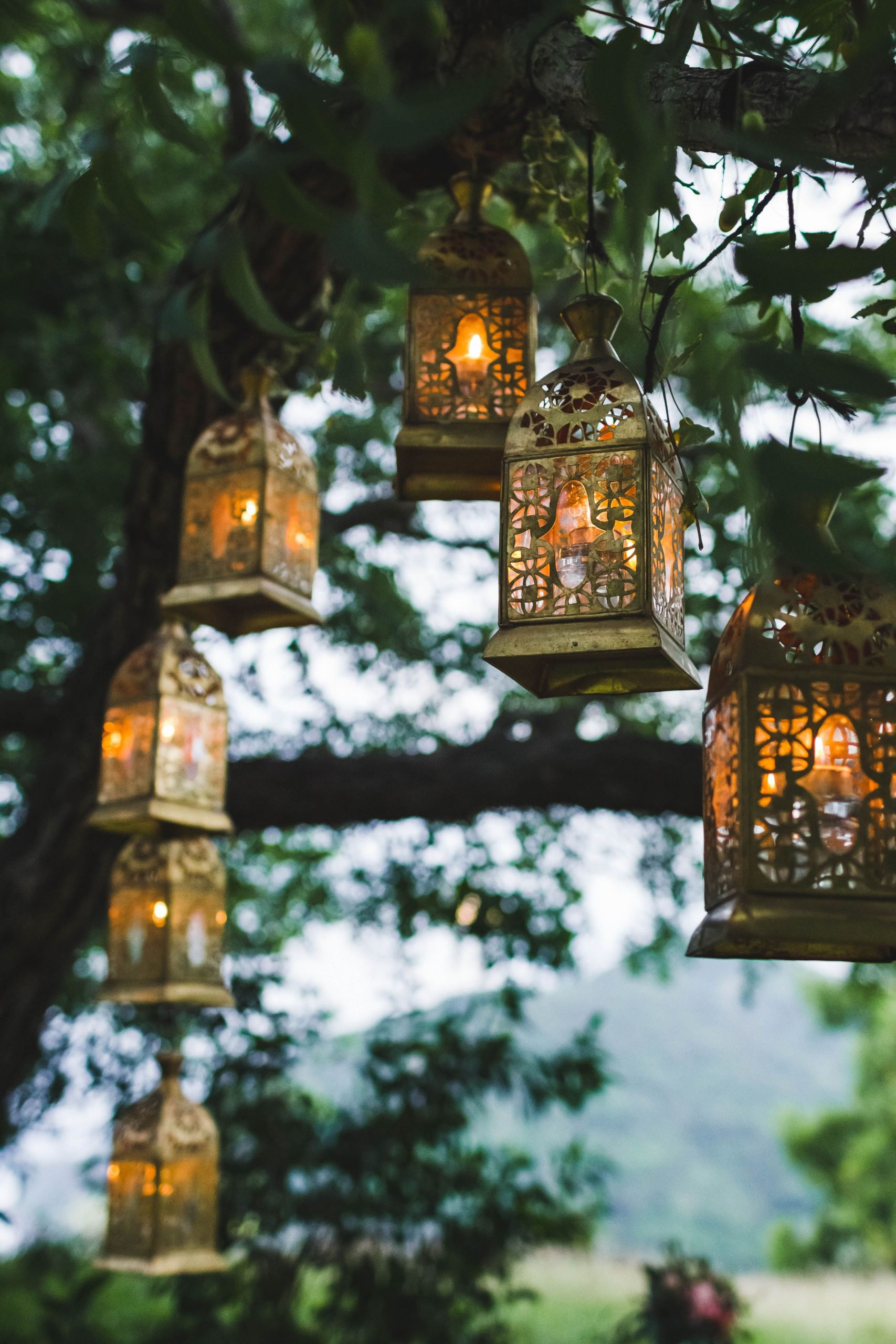 Backyard Wedding Cast
 Lantern love affair These will definitely cast a