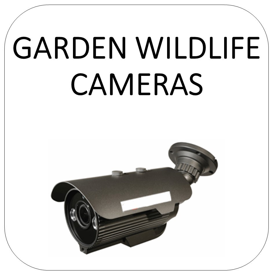 Backyard Wildlife Camera
 Wildlife Camera Kits e Stop Nature Shop