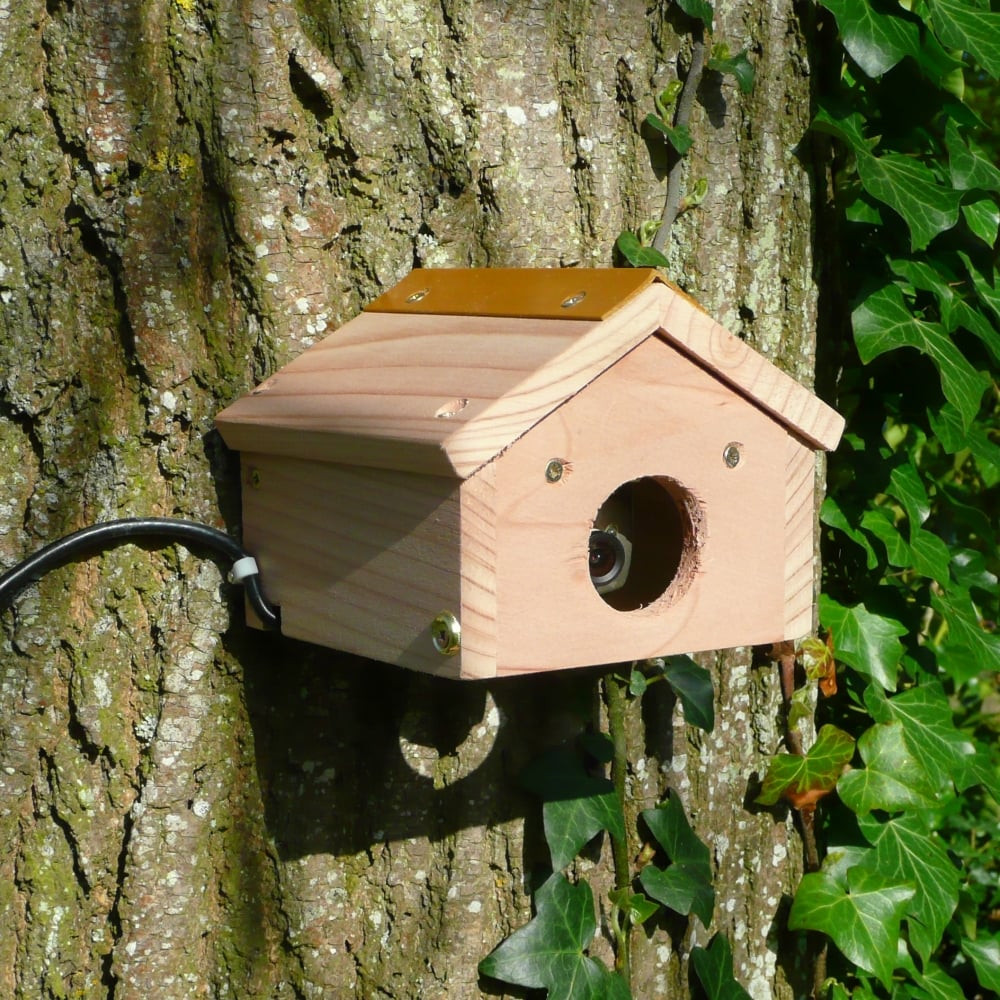 Backyard Wildlife Camera
 Premium Quality Camera Nestbox from Ruddick Garden Gifts