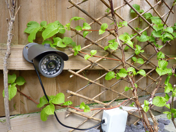 Backyard Wildlife Camera
 6 of the best gad s to the most from your garden