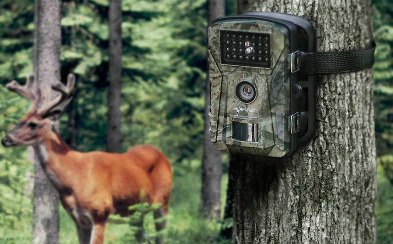 Backyard Wildlife Camera
 Top 5 Best Garden Wildlife Trail Cameras Buyers Guide