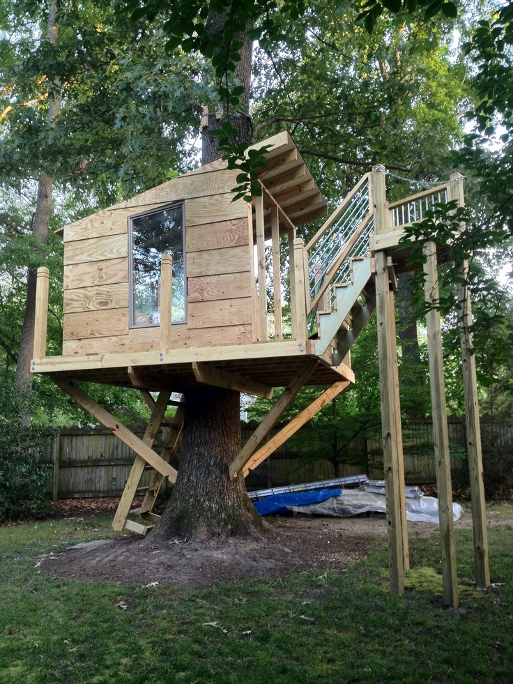 Backyard Zipline Platform
 16 best images about treehouse on Pinterest