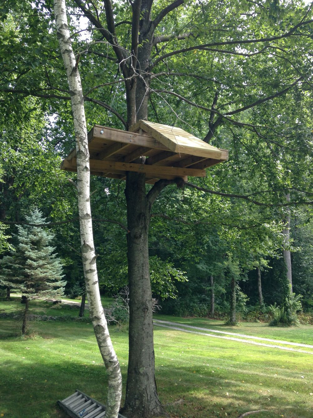 Backyard Zipline Platform
 Zip line landing platform