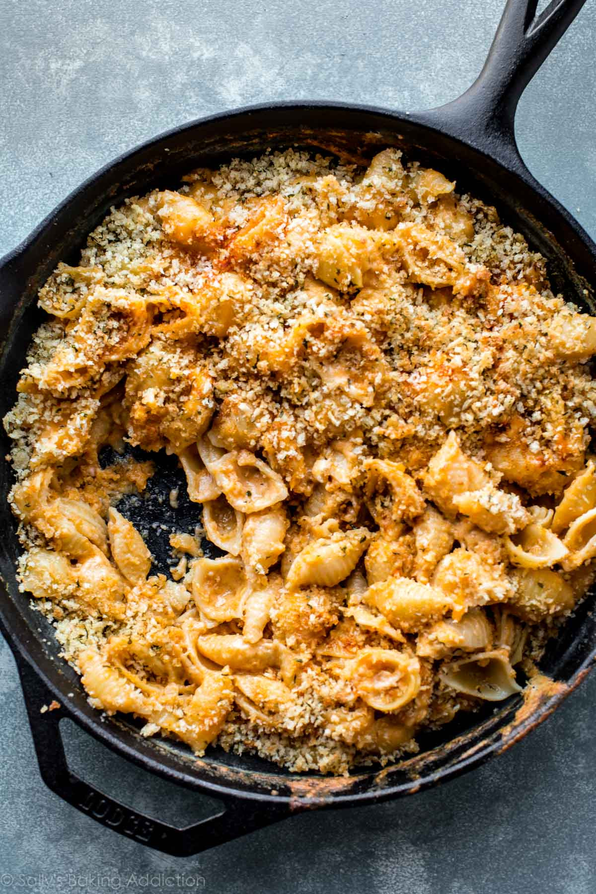 Baked Macaroni And Cheese For 50
 Easy Baked Macaroni and Cheese Sallys Baking Addiction