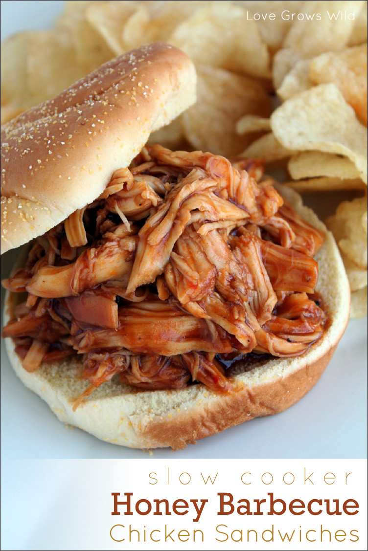 Barbecue Chicken Sandwiches Recipe
 Slow Cooker Honey Barbecue Chicken Sandwiches Love Grows