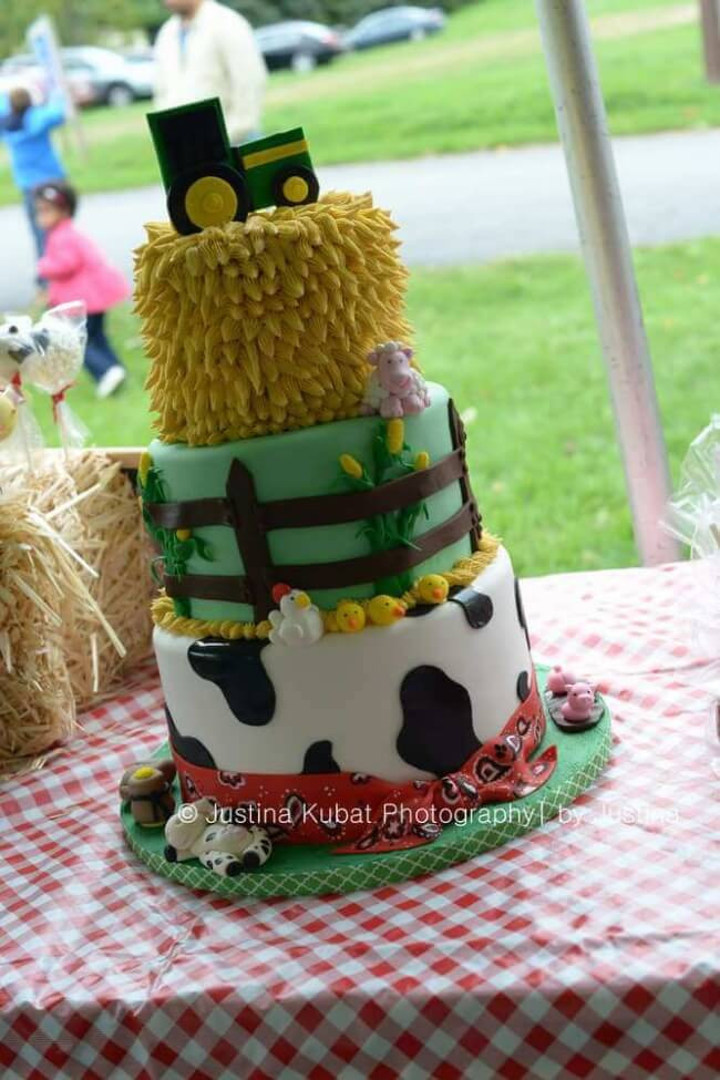 Barnyard Birthday Cake
 23 Barnyard Birthday Party Ideas