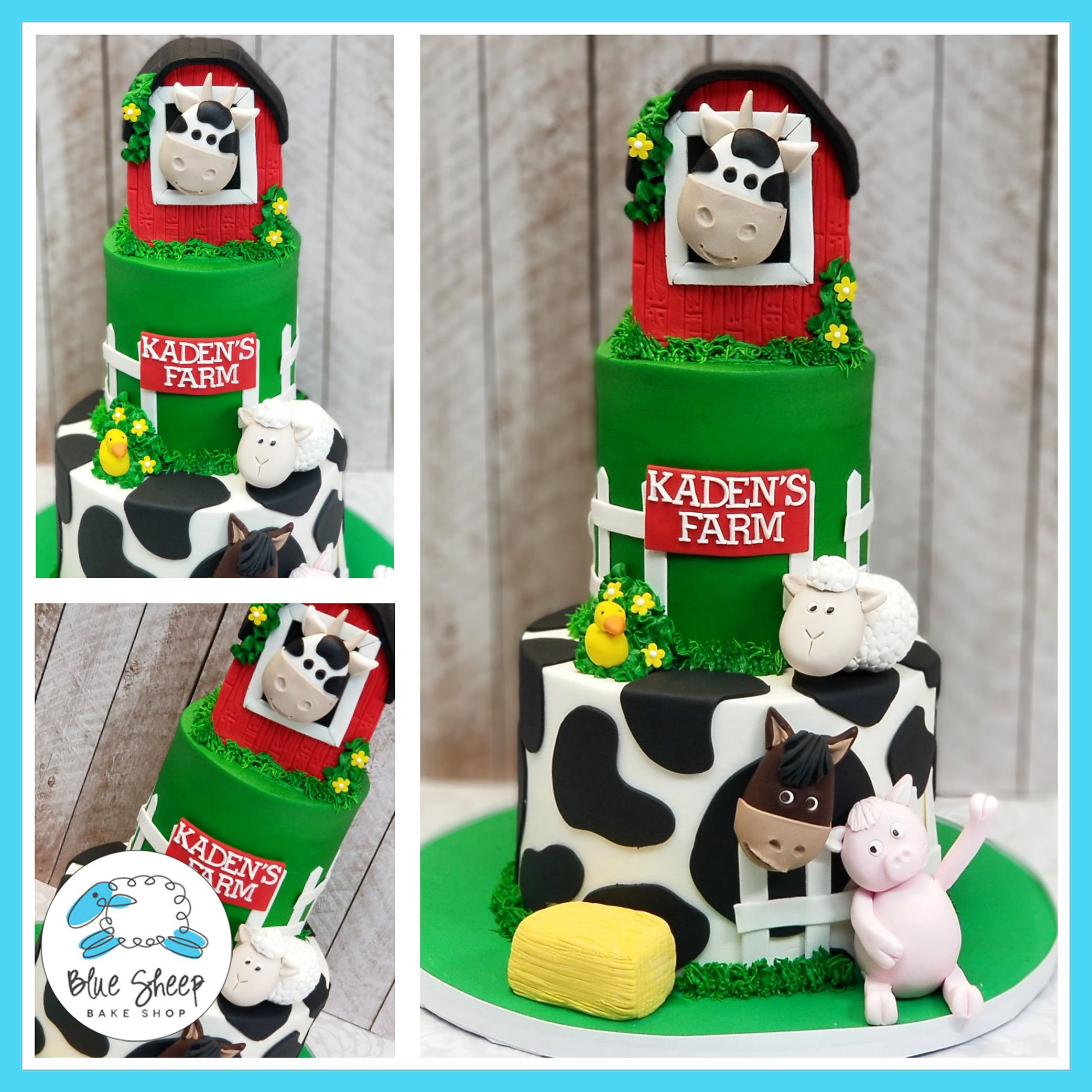 Barnyard Birthday Cake
 Kaden s Barnyard 1st Birthday Cake NJ Birthday Cakes