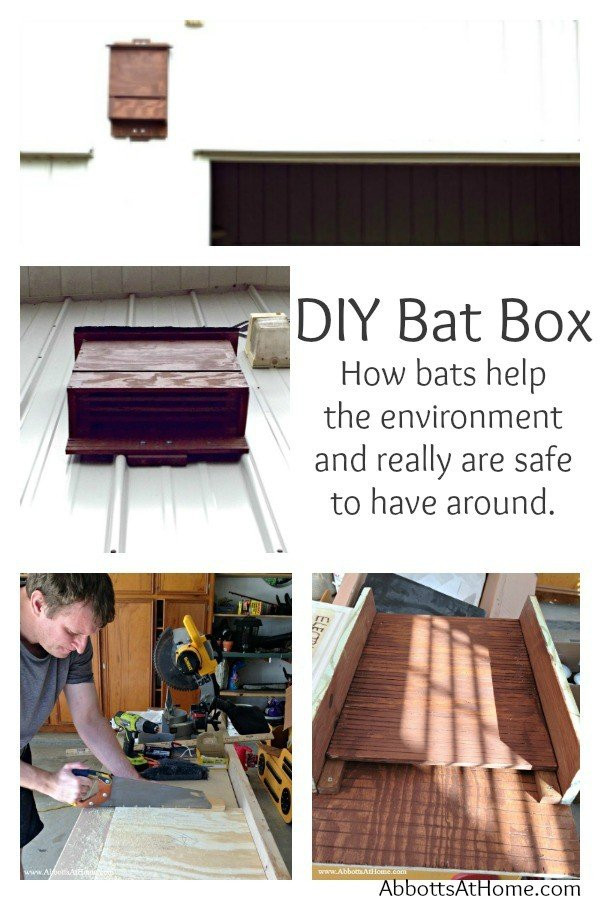 Bat Boxes DIY
 DIY Bat Box and why you should hug a bat today Abbotts