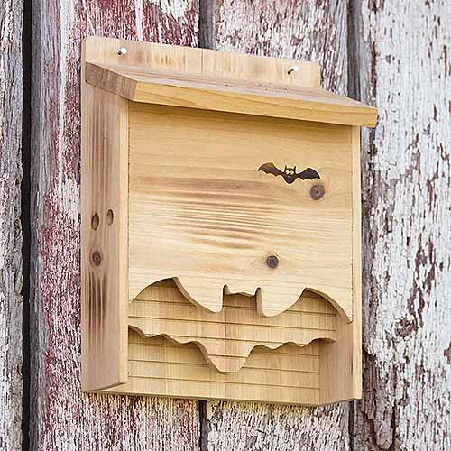 Bat Boxes DIY
 How to Build a Bat Box with DIY Instructions